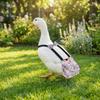 Breathable Duck Diapers Reusable Goose Diaper Physiological Pants Flight Suits  Pet Chicken