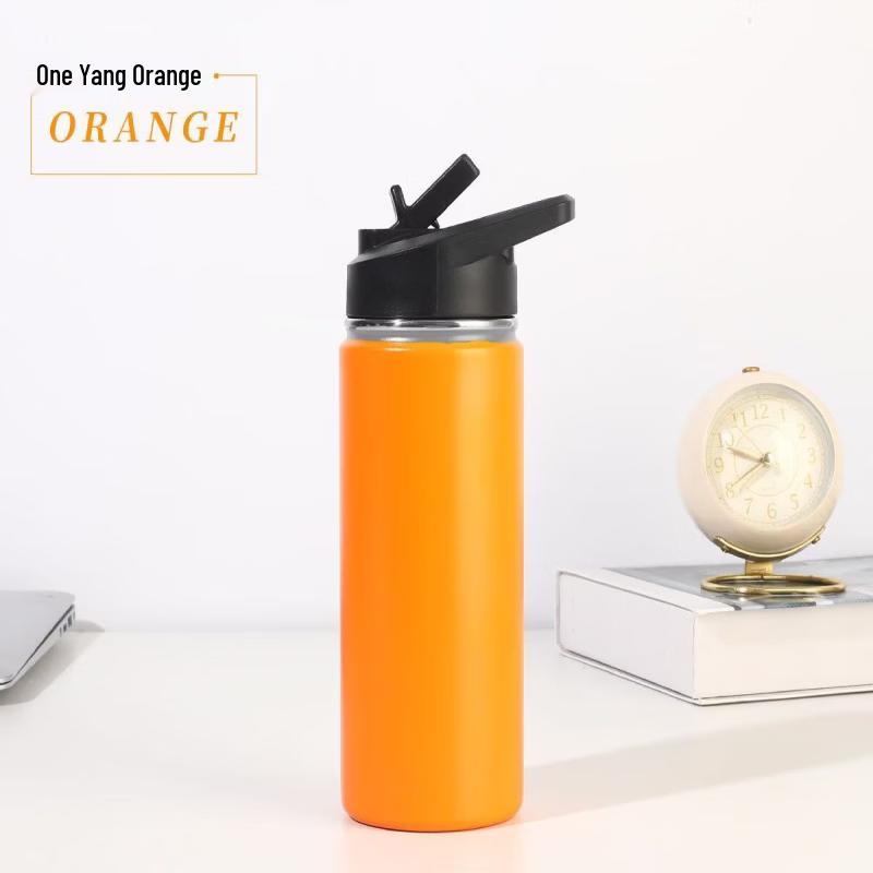 Portable Insulated Stainless Steel Water Bottle