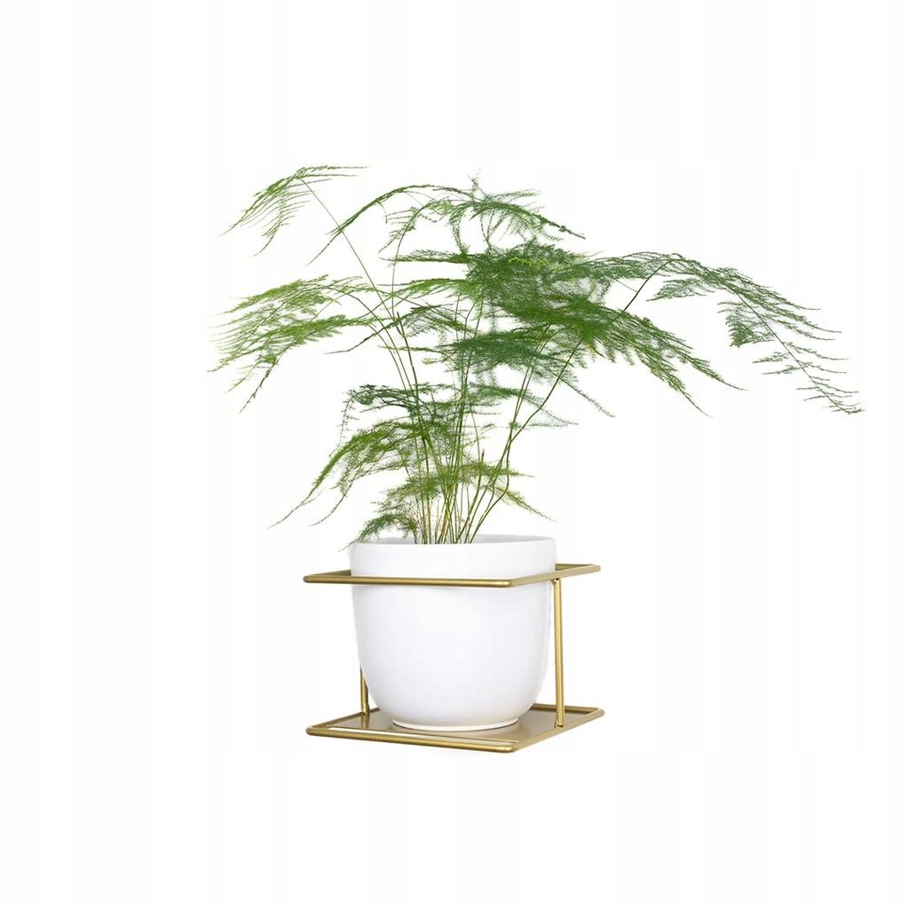 Gold Metal Wall Flower Stand, Flowerpot Holder, Modern Plant Hanger, Loft, Scandinavian