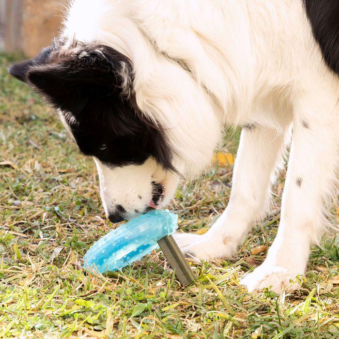 Jouet à Mordre - InnovaGoods - 2 en 1 - Congelable - TPR - Pour Chien Moyen