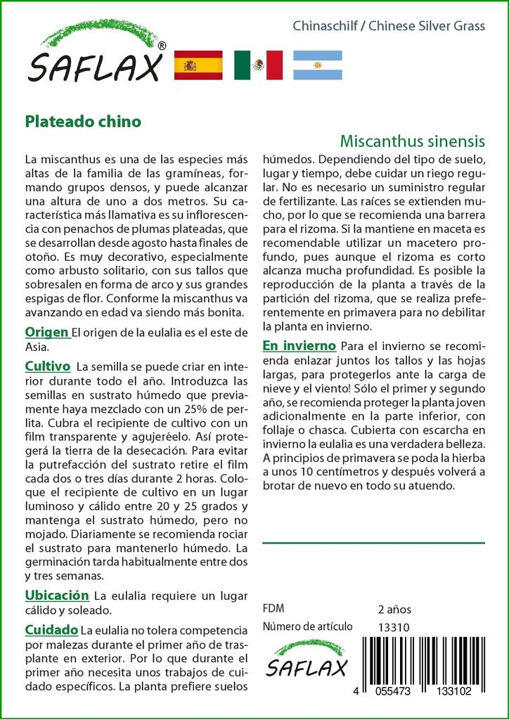 SAFLAX Stříbrná tráva čínská - 200 semen - Miscanthus sinensis