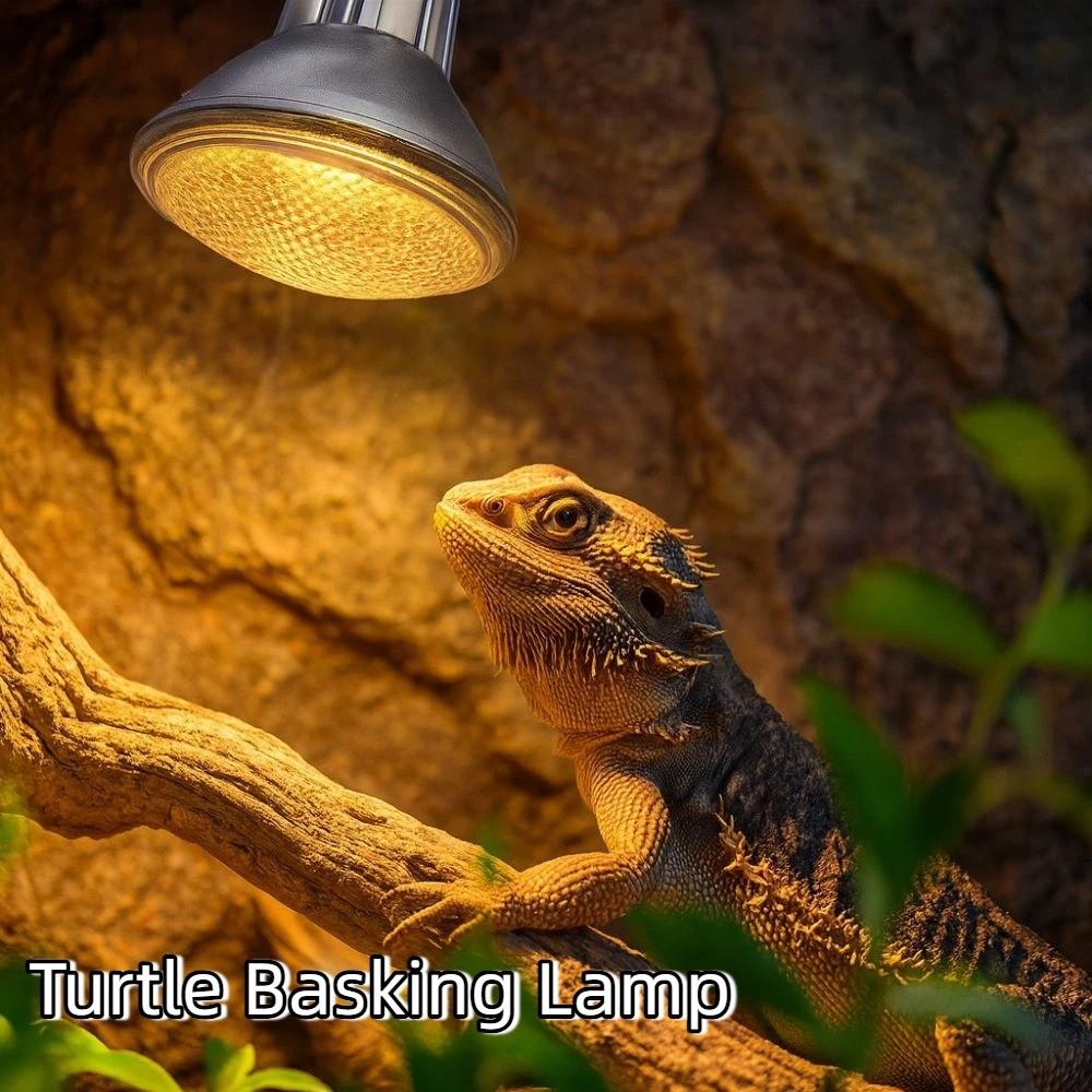 Full Spectrum Pet Heating Bulb Dimmable Turtle Basking Lamp Durable Heat Lamp Lizards Habitat