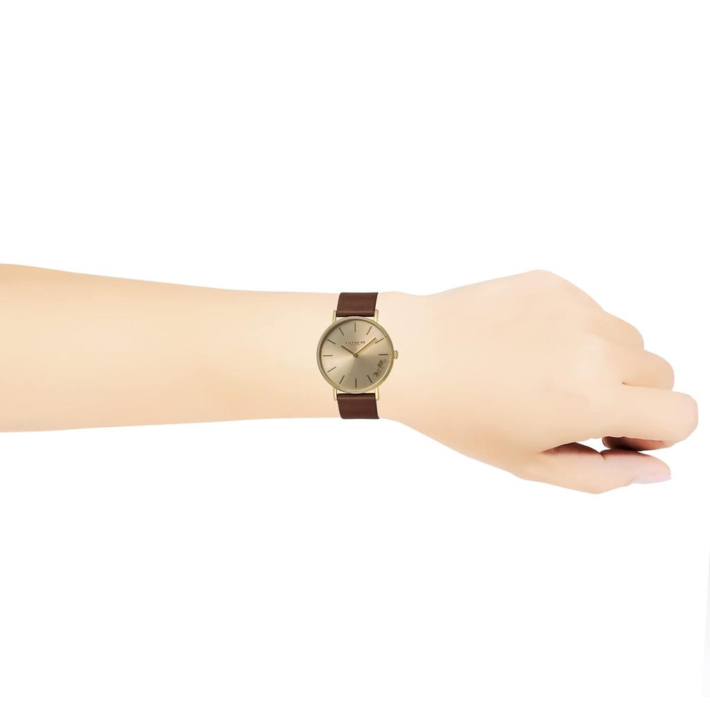PERRY Gold Dial Stainless Steel Quartz 36MM Watch 14503331 Brown [Coach] Women's [Item]