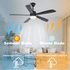 Deckenventilator - NETTLIFE - 125 cm - LED 23W - Dimmbar & Schalldämpfer - Fernbedienung