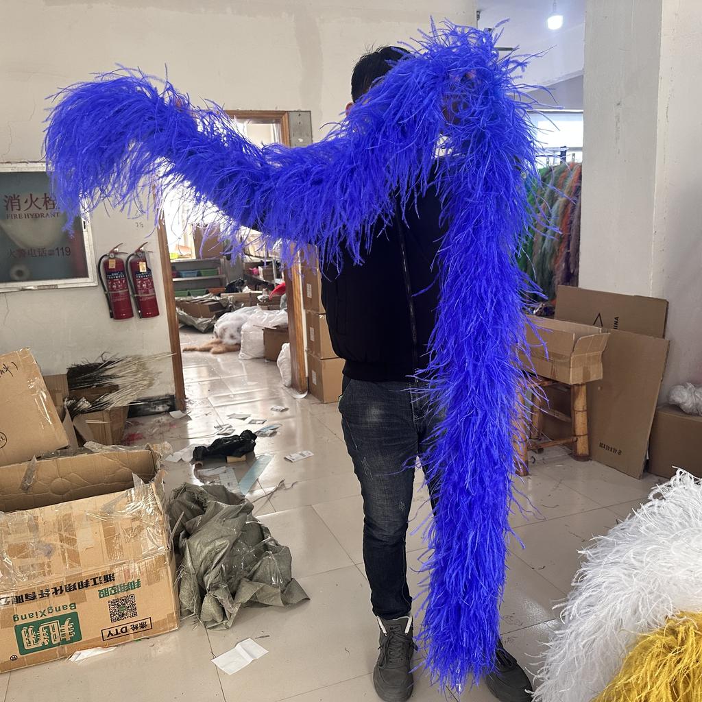 DIY 1/2/3/6/10 Ply Natural White Ostrich Feathers Boa Trim for Craft Wedding Party Festival Clothing Decoration Plumes Shawl 2M