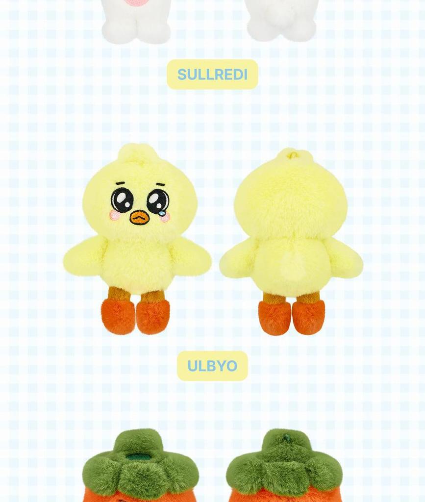 (PLÜSCH 10cm / PLÜSCH SCHLÜSSELANHÄNGER Mikro-Version) NMIXX [NSWER VACATION] OFFIZIELLES MD