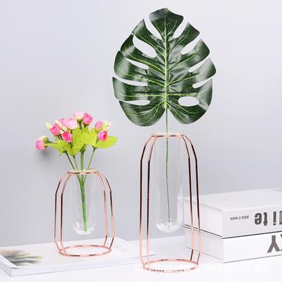 Decorative Floral Plants Container Nordic Hydroponic Vase with Glass Tube Stainless Steel Hanging Flower Vase Tabletop Ornaments