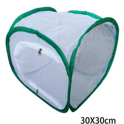 Έντομα – Γιάλες για έντομα