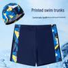 Kids' Cartoon Print Swim Set: Boys' Boxer Trunks & Cap