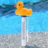 Cartoon Duck Floating Pool Dispenser Thermometer Kit Portable Pools Cleaning for Indoor Outdoor Garden Pools Cleaning