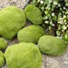 Home Landscape Stone Greenery Artificial Moss Garden Decoration Floor Adornments Plants Decor