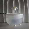 Automatic Cat Water Fountain USB Electric Recirculating Filter Transparent Pet Drinker Mute Dispenser for Cats Dogs Pet Feeder
