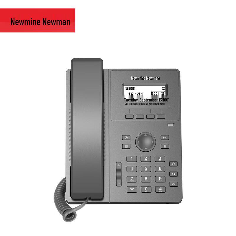 

Newman HL2008 Series IP Phone (CN version)