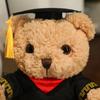 Abschluss-Saison Teddybär Puppe Niedlich Sitzend Doktorkleidung Bär Abschlussfoto Requisiten Puppe Geschenk