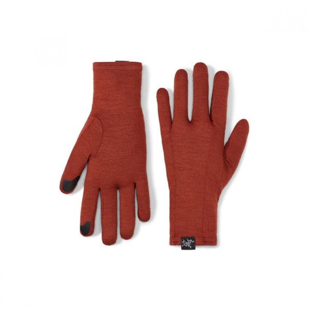 Arcteryx Gothic Glove Aeofux6539 Sequoia LG/Free
