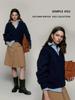 2024 Korean V-Neck 100% Pure Wool Loose Knit Pullover Sweater