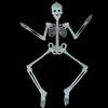 Premium Quality Luminous Hanging Human Skeleton Ideal For Halloween And Party Decor