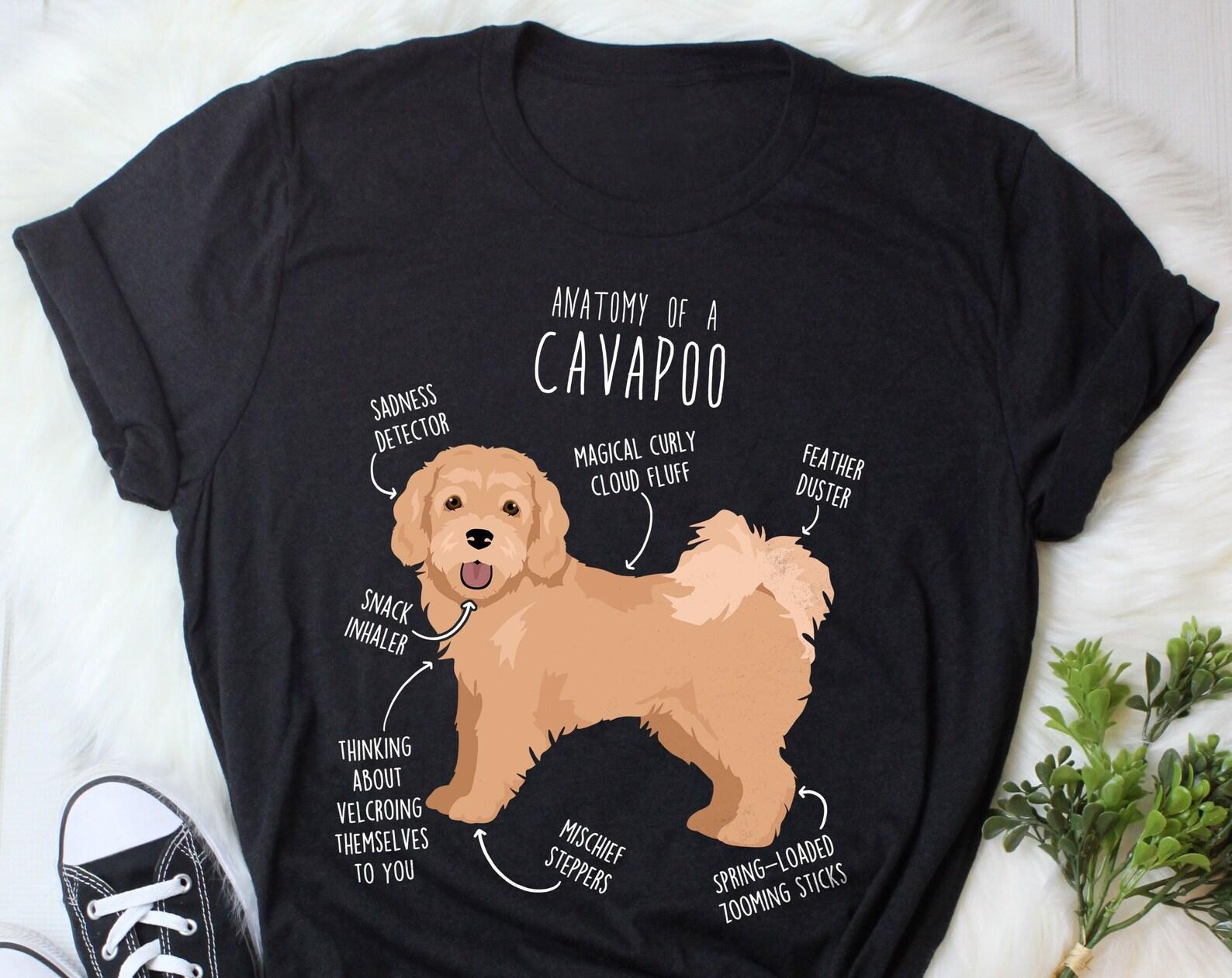 Cavapoo Shirt, , , Funny Tan Cavapoo Dog Lover Gift, Cute Cavoodle T-shirt, Doodle Poodle Mix Cross Tshirt, Pet Tee, Cavapoo Mom Dad 140