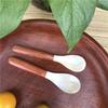 Natural Shell Spoon Mother of Pearl Fork Ice Cream Dessert Caviar Seasoning Condiment Stirring Spoons Teaspoon Kitchen Tools4
