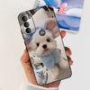 Lovely Printing Case For Motorola Moto G71 5G Soft TPU Black Silicone Back Cover For MOTO G71 G 71 5G XT2169-1 Phone Cases
