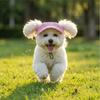 Breathable Pet Sun Hats Corduroy Cat Headwear Multi-color Dog Baseball Cap  Walking Hiking