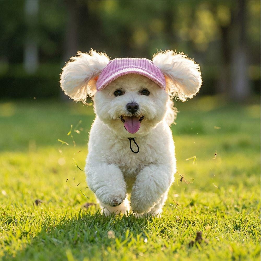 Breathable Pet Sun Hats Corduroy Cat Headwear Multi-color Dog Baseball Cap  Walking Hiking