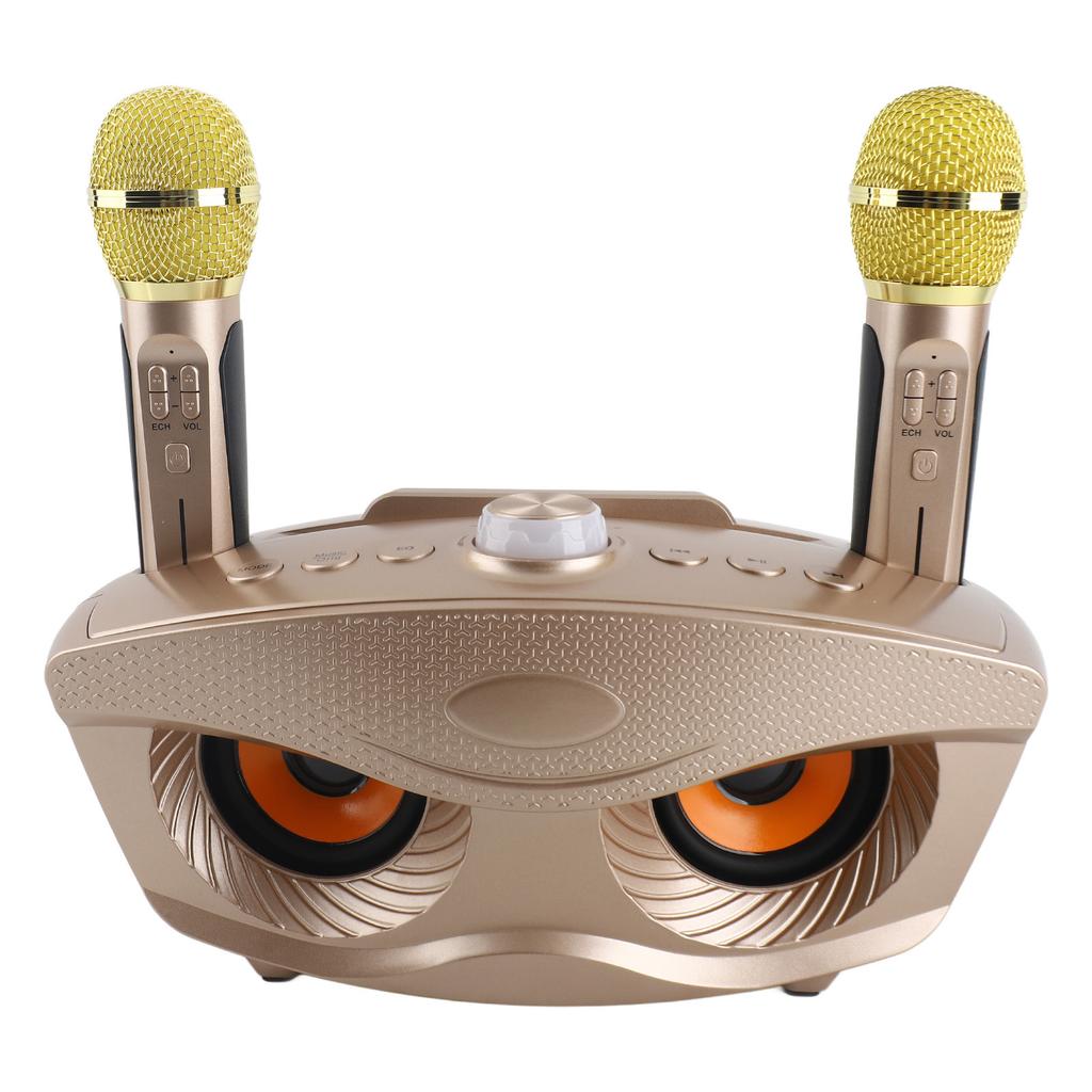 Speaker Home KTV Karaoke   Speaker with Two Microphone (Black)