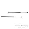 2X Liftgate Lift Supports For 1996 97 98 99 00 01 2002 Toyota 4Runner