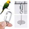 Parrot Stainless Steel Fruit Fork Apple Fork Toy Bird Cage Supplies Bird Fruit Insert Feeder Pet Parrot Accessories Bird Feeder