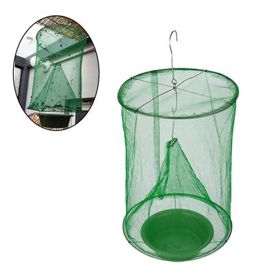El último insecto mosca rojo Drosophila Top Catcher
