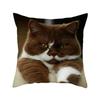 Cushion Cover Cute Cat Pattern Square Pillowcase Zipper Birthday Gift Sofa Home Hotel Decoration 45*45Cm