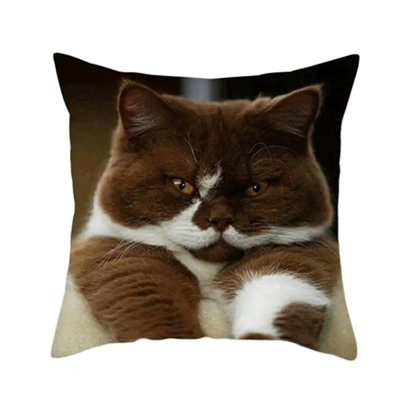 Cushion Cover Cute Cat Pattern Square Pillowcase Zipper Birthday Gift Sofa Home Hotel Decoration 45*45Cm