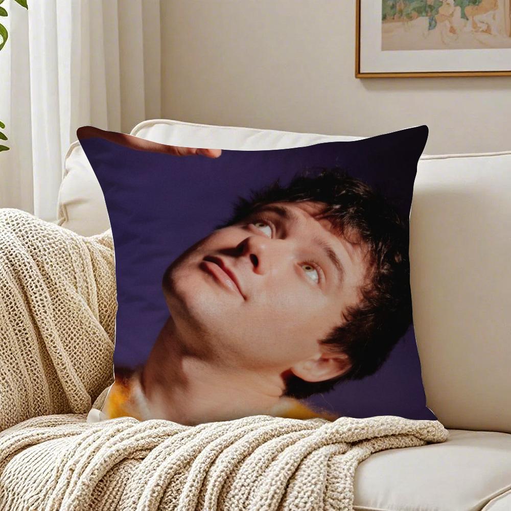 Singer AAlec BBenjamin Cushion Cover Pillowcase Antidustmite living Room Sofa Decor Cushion Room