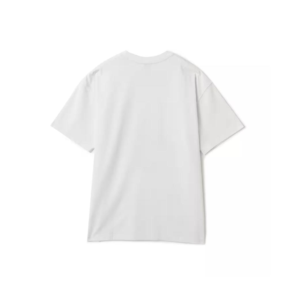 Nike Dri-Fit SS25 ACG Scorpion Summit Bequem Vielseitig Locker Kurzarm T-Shirt Unisex Oberteile HV1291-121