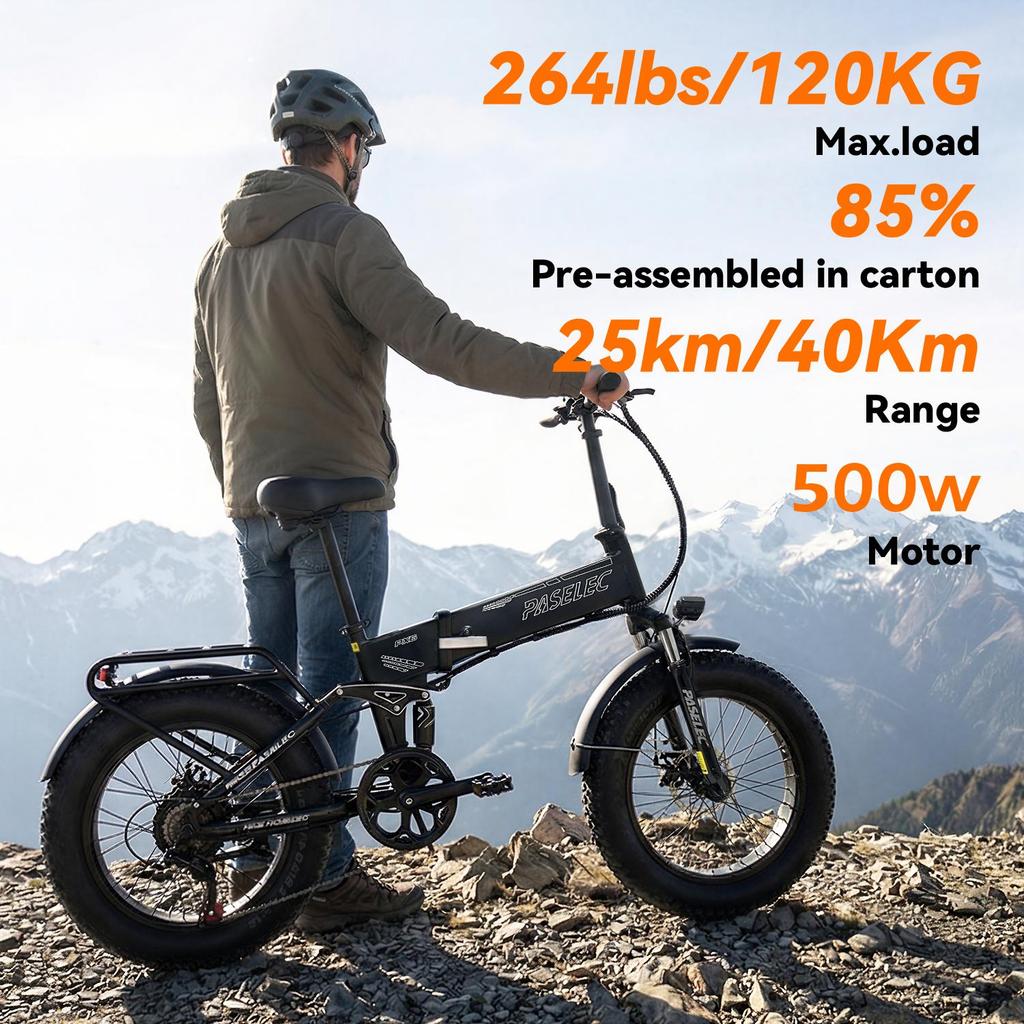 Bicicletă Electrică Adult 1000W Masculin 48 v13ahBaterie E-Mountain ebike , 20 inch 4.0 Anvelopă Lată Bicicletă Electrică Masculină