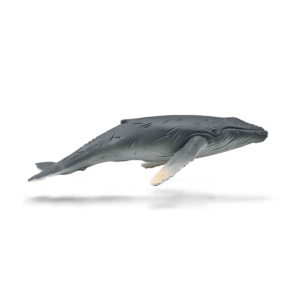 CollectA Humpback Whale Calfskin серый