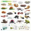Realistic Animal Growth Cycle Storage Box Set With Mosquito Spider Ladybug Frog Worm Snail Models In Pink And Blue
