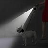 ABS Illuminated Retractable Dog Leash Electronic Light 5M Extended Dog Chain Adjustable Length Dog Traction Nighttime Walks