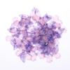50Pcs 3D Organza Fabric Butterfly Appliques Gradient Color Double-Layer Simulation Mesh Butterfly Patch Translucent