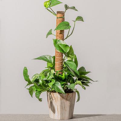 Mode Afneembare Mosstok Om Omhoog te Groeien 32/42/52cm Planten Klimsteun Tuin Gereedschap Palm Klimplanten Stok Buiten