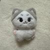 Used Jeongwon Stuffed Animal ENHYPEN