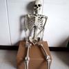 Halloween Movable Skull Skeleton Life Size Full Body Posable Joints Skeletons for Children Girls Boys Party Gift