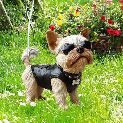 Köpek Bahçe Kazığı Yelekli Yavru Köpek Güneş Gözlüğü Açık Hava Dekoru Kazık Bahçe Sanatı Köpek İşaret Dekorasyonu Patio Çim Çiçek Yatağı