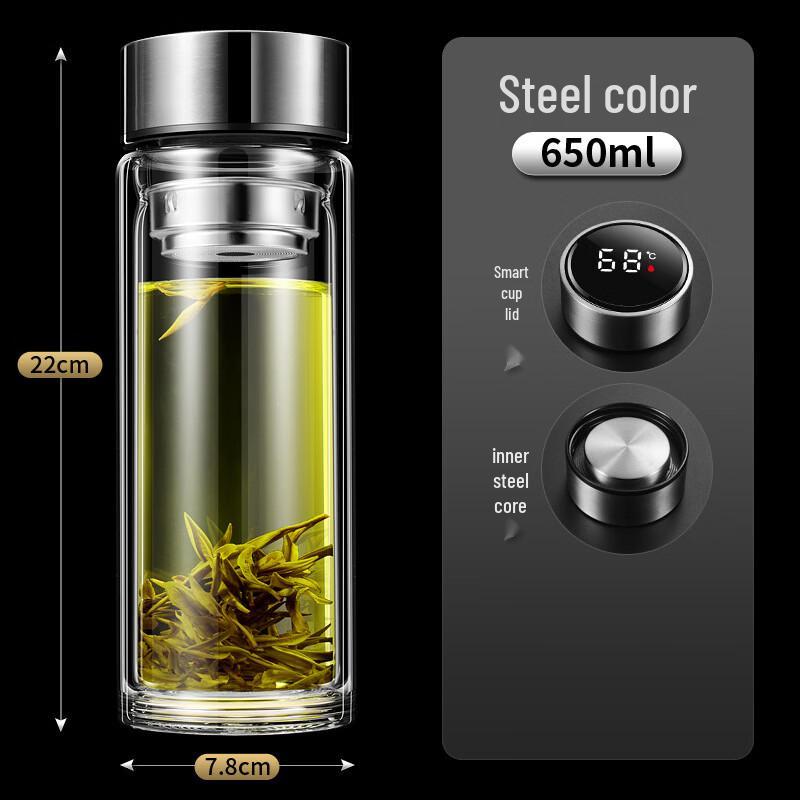 Shixun Insulated Glass Mug with Temperature Display