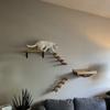 3Pcs Cat Hammock with Four Step Sisal Stairways or Scratching Posts Set Wall Mounted Wooden Cats Furniture Climbing Shelf Perch