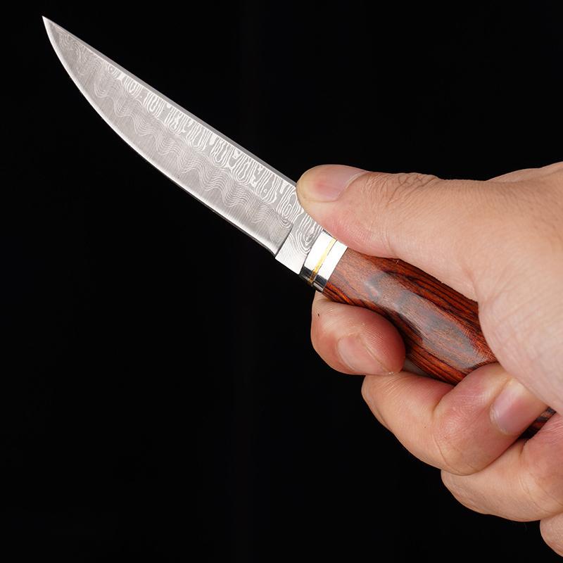 Cuțit de dezosat din oțel inoxidabil cu model Damasc Cuțit de bucătărie Cuțit de carne Cuțit de tăiat fructe Cuțit Instrument de gătit