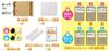 KUMON PUBLISHING NEW Study Go for with video recommended by the Japan Go supervised by Yoko Kuwahara for ages 5 and KUMON Beginners, support,