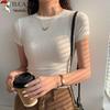 Woodpecker Women's Ribbed Round Neck Cropped T-shirt