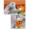 Easter Bunnies Statue Bunnies Tealight Candle Holders Rustics Farmhouse Home Decors Table Centerpieces Housewarming Gift