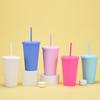 Candy Color Double-Layer Plastic Straw Cup 16Oz Drinking Cup Simple Plastic Matte Straw Cup